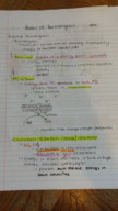 Organismal Biology, BSCI207, wekk 4 notes