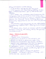 week 6: organelle genome - detailed notes
