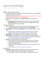 Anatomy and Physiology - Week 4