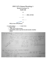 Physiology Week 6 Lecture 11