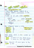 Genectics