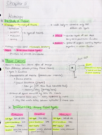 Human Anatomy & Physiology Ch. 5 Class Notes (part 1)