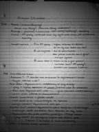Homer's Iliad Notes