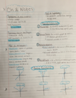 Chapter 2 Study Guide