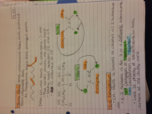 Organic Chemistry - Lecture Notes from 09.27.16 - Week 4