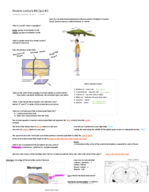 Review of Lecture #8 & #9 for Quiz #2