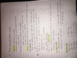 Religion test 2 Study Guide 