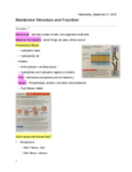 Life 102, Ch. 7 notes