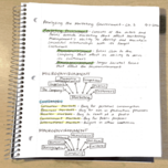 Intro to Marketing, Week 3