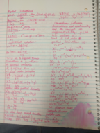 Calculus III Week 4 Notes