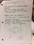 Ch5 Learning Objectives