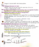 Chapter 3: Nucleic Acids and Transcription