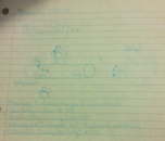 Molecular Cell Biology 1