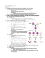 BSC 2011 Lecture 10 Medelian Genetics