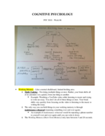 PSY 3010 - Week 6 Notes