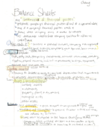 Balance Sheets 
