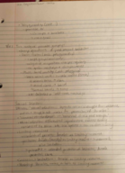 Human Evolution, Week 4 Notes