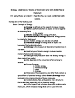 2 weeks of notes, CH 5 and 6 
