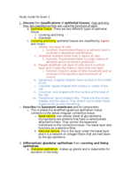 Exam 2: Anatomy and Physiology