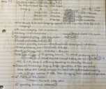 Operations Management, Week 4 Notes