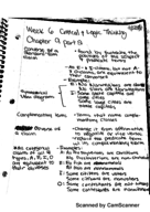 Critical and logic thinking week 6 notes