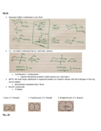 Organic Chemistry, Week 5 