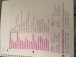Italian 102 Week 2 Notes