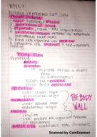 Bio Week 7 Class Notes