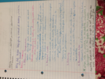 Week 5 Notes