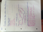 Geol 105, Chapter 13 lecture notes