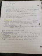 Chapter 4 notes 