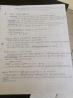 Chapter 5 notes 
