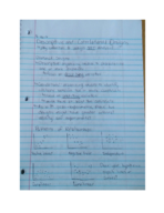 Week 4 Notes