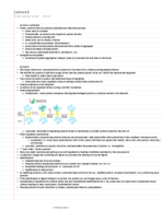 Lecture 5 notes