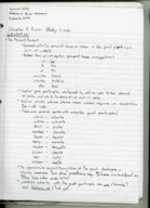 Tu Mundo Ch. 11 Exam Study Guide