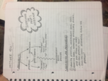 Philosophy 101, Week 2 Notes