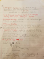 Chapter 5, Section 5.5 Notes