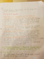 Chapter 5, Section 5.6 through 5.8 Notes