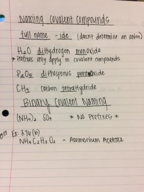 Ch. 3 Exam Study Notes