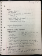 Microbiology, Week 7 Notes