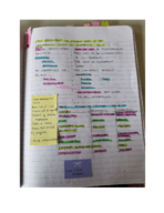 Cell Biology The Smallest Unit of life