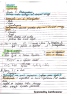 Chapter 8 Notes on Photosynthesis