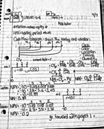 Financial Management & Markets Notes 9/7,9/12, 9/14, 9/19,9/21 