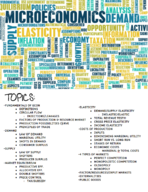 AP ECON: MICROECONOMICS