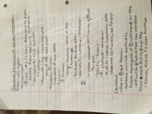 BIOL 23100 Week 5 Notes!