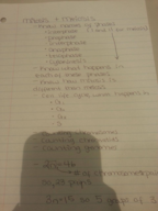Study Guide #1