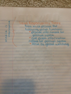 COMM 1307, Week 7, Class Notes