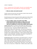 Anatomy and physiology ANPS 019