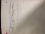 Week 6 Notes
