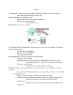 Study Guide for Exam 2!